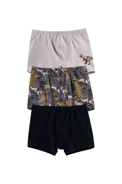 Boys Boxers-Domi set of 3pcs-multi colors